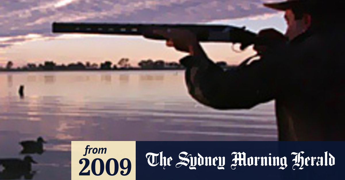 Tasmania kicks off duck hunting